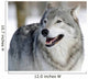 Gray Wolf Wall Mural