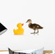 Baby Mallard Duck Wall Decal