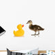 Baby Mallard Duck Wall Decal