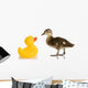 Baby Mallard Duck Wall Decal