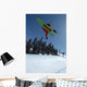 Pipe Skier Wall Decal