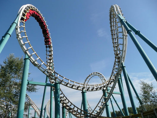 Rollercoaster Amusement Park Wall Decal