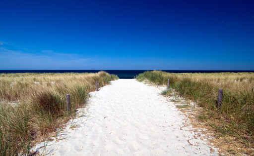Baltic Beach Wall Decal