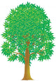 Green Tree Wall Decal