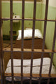 Alcatraz Prison Cell Wall Decal