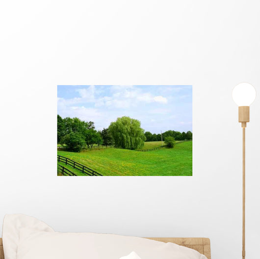 Rural Landscape Wall Decal