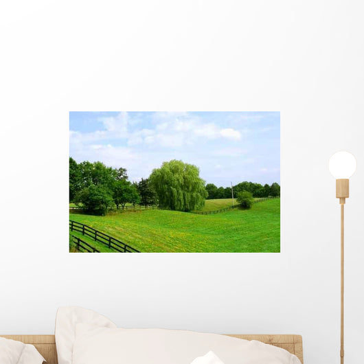 Rural Landscape Wall Decal