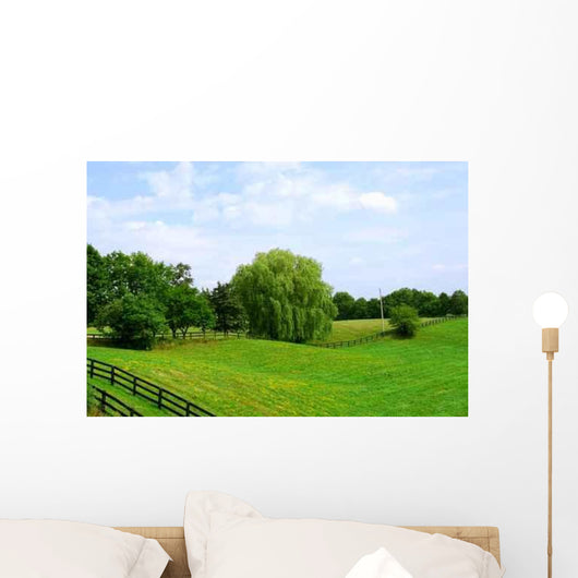 Rural Landscape Wall Decal