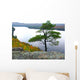 Lake Scenery Wall Decal