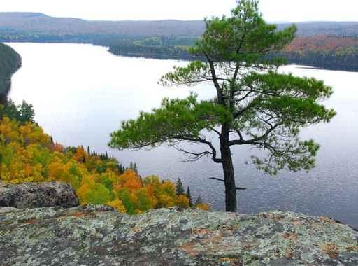 Lake Scenery Wall Decal