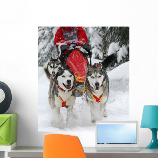 Sled Dog Race Wall Decal