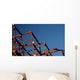 Construction Wall Decal