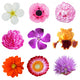 Summer Flowers Wall Stickers