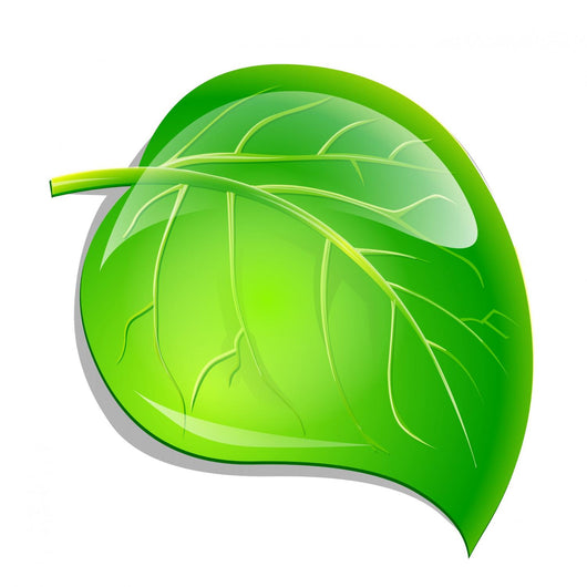 Green Leaf Wall Decal