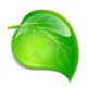 Green Leaf Wall Decal