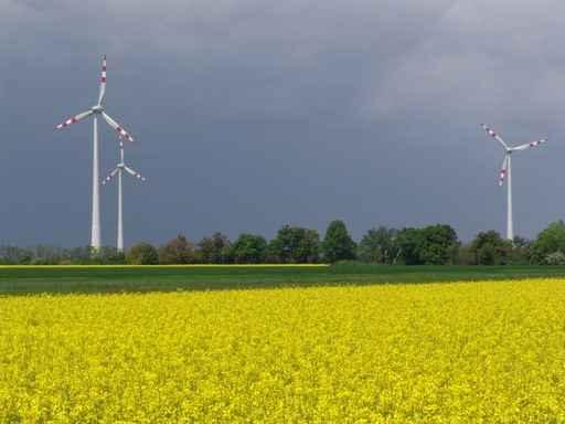 Wind Turbines Wall Decal