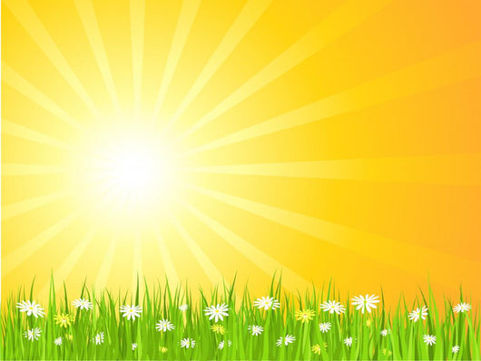 Sunny Landscape Wall Decal