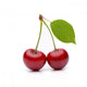 Cherries Wall Decal