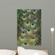 Cascading Peacock Feathers Wall Decal