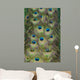 Cascading Peacock Feathers Wall Decal