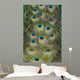 Cascading Peacock Feathers Wall Decal