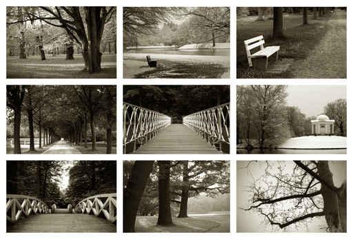 Collage Sepia Wall Decal