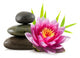 Composition Zen Stones Lotus Wall Decal