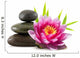 Composition Zen Stones Lotus Wall Decal