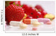 Vitamins and Supplements Nutritional Wall Decal