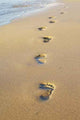 Footprints Sand Wall Decal Design 3