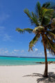 Caribbean Beach Wall Decal Design 4