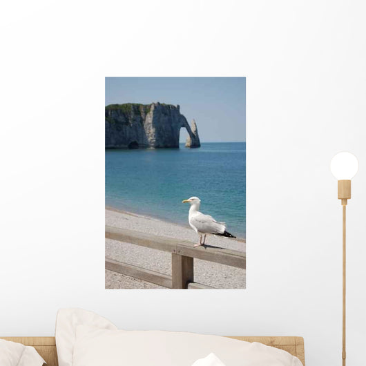 Mouette Etretat Wall Decal