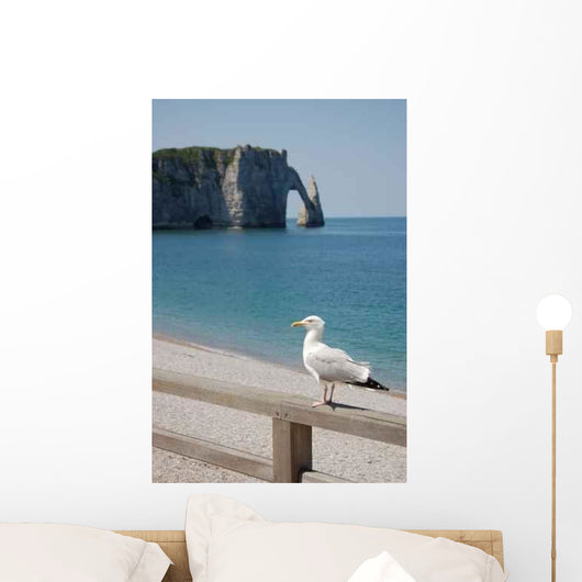 Mouette Etretat Wall Decal