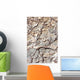 Stone Wallpaper Wall Decal