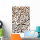 Stone Wallpaper Wall Decal