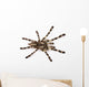 Spider Wall Decal
