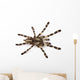 Spider Wall Decal