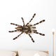 Spider Wall Decal