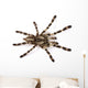 Spider Wall Decal