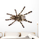 Spider Wall Decal