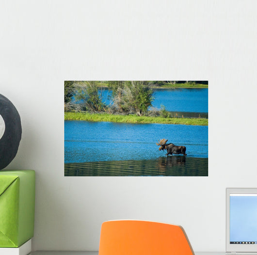 Moose Crossing Wall Decal