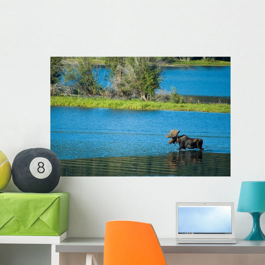 Moose Crossing Wall Decal
