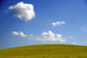 Nature Blue White Green Wall Decal