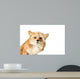 Curious Fox Wall Decal
