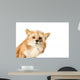 Curious Fox Wall Decal