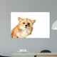 Curious Fox Wall Decal