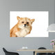 Curious Fox Wall Decal