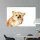 Curious Fox Wall Decal