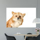 Curious Fox Wall Decal