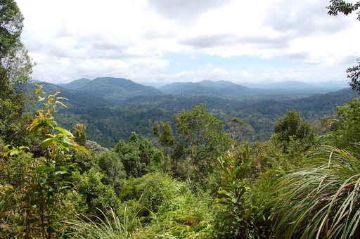 Malaysia Panorama Wall Decal